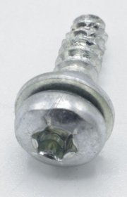 It Wash Screw - 39201008000 Hinge Screw